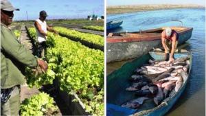 Pesca y Agricultura serán los sectores que impulsarán la economía peruana entre 2025 y 2027