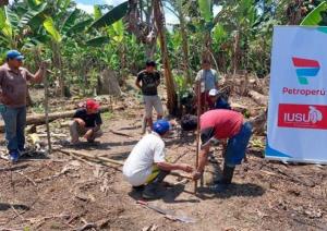Petroperú promueve proyecto para promover la producción de cacao