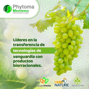 Phytoma Bioscience cuenta con el portafolio de Tecnologías de Vanguardia dentro de la estrategia de Bioestimulación y Protección de cultivos en el segmento orgánico – Residuo cero