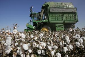 Piden imitar modelo brasileño para la promoción de cooperativas