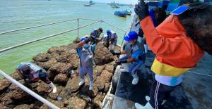 Piura: bahía de Sechura es declarada área exclusiva para la pesca y acuicultura