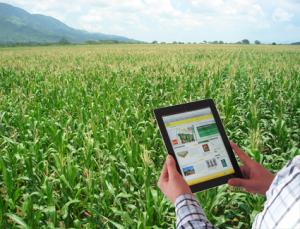 Piura será escenario del “Vive Agro 4.0”, primer evento de agricultura ‘smart’ en Perú