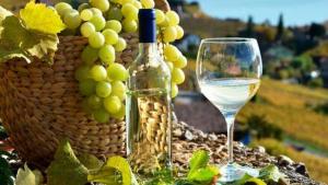 Plantean eliminar pago del impuesto selectivo a productores de pisco y vino