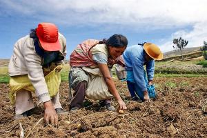 Pleno del Congreso aprueba dictamen que modifica la Ley de creación de Agroideas