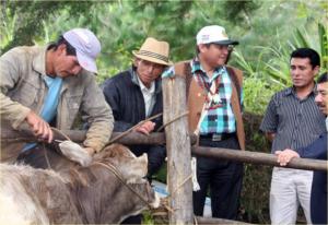 POBLADORES DE MAINO EXPONDRÁN PRODUCTOS EN SEDE REGIONAL AMAZONAS