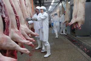 Porcicultores buscan ventas directas para reducir precio de la carne de cerdo