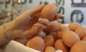 Precio de huevos continuará alto durante el año