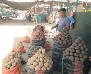 Precio de la papa baja por Campaña de cosecha grande