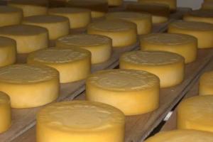 Precio de los quesos se recupera ante marcado incremento de su consumo
