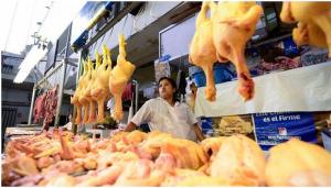 Precio de pollo se estabilizaría en los próximos días