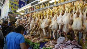 Precio del pollo continúa bajando en la capital