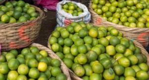 Precio del saco de limón piurano se triplica y podría afectar economía de limeños