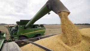 Precio del trigo alcanzó su nivel más alto en casi 14 años por preocupación sobre escasez de suministros