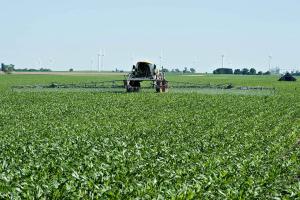Precios de fertilizantes caen un 30% tras la destrucción de la demanda