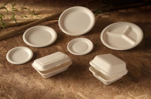 Presentan Bioform, la primera línea de empaques biodegradables producida en Perú