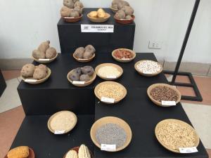 <span class='highlight'></span>P<span class='highlight'></span>R<span class='highlight'></span>E<span class='highlight'></span>S<span class='highlight'></span>E<span class='highlight'></span>N<span class='highlight'></span>T<span class='highlight'></span>A<span class='highlight'></span>N<span class='highlight'></span> <span class='highlight'></span>R<span class='highlight'></span>E<span class='highlight'></span>S<span class='highlight'></span>U<span class='highlight'></span>L<span class='highlight'></span>T<span class='highlight'></span>A<span class='highlight'></span>D<span class='highlight'></span>O<span class='highlight'></span>S<span class='highlight'></span> <span class='highlight'></span>D<span class='highlight'></span>E<span class='highlight'></span>L<span class='highlight'></span> <span class='highlight'></span>P<span class='highlight'></span>R<span class='highlight'></span>O<span class='highlight'></span>Y<span class='highlight'></span>E<span class='highlight'></span>C<span class='highlight'></span>T<span class='highlight'></span>O<span class='highlight'></span> <span class='highlight'></span>\<span class='highlight'></span>"<span class='highlight'></span>S<span class='highlight'></span>E<span class='highlight'></span>M<span class='highlight'></span>I<span class='highlight'></span>L<span class='highlight'></span>L<span class='highlight'></span>A<span class='highlight'></span>S<span class='highlight'></span> <span class='highlight'></span>A<span class='highlight'></span>N<span class='highlight'></span>D<span class='highlight'></span>I<span class='highlight'></span>N<span class='highlight'></span>A<span class='highlight'></span>S<span class='highlight'></span>\<span class='highlight'></span>"<span class='highlight'></span>