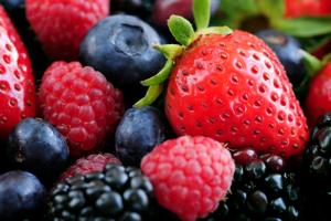 Presentarán proyecto de ley para fomentar la producción, exportación e industrialización de berries