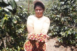 Presidenta del Congreso firmó autógrafa de ley que fortalece cadenas productivas de café y cacao