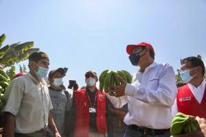 Presidente Vizcarra supervisó infraestructura de productores de banano orgánico