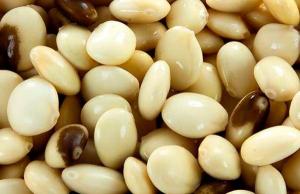 Primera planta de desamargado de tarwi en Perú se instalará en Áncash