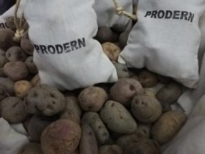 PRODERN permitió poner la riqueza de la naturaleza al servicio de las comunidades locales de manera sostenible