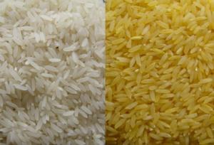 Producción de arroz y maíz cayó más del 20 % en junio por escasez de fertilizante