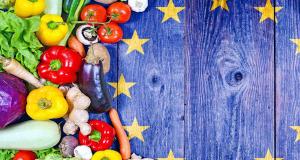 Producción de hortalizas frescas de la UE alcanzó las 62.9 millones de toneladas en 2020