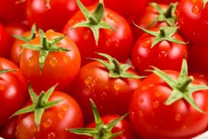 Producción de tomate de la UE alcanzaría las 16.5 millones de toneladas este año, lo que representaría una contracción de 9%