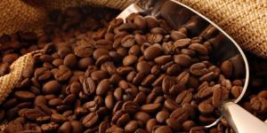 Producción del café decreció en la región Ucayali
