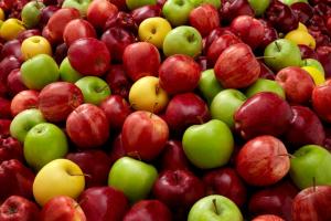 Producción mundial de manzanas frescas registraría un descenso de 4.3 millones de toneladas en la campaña 2022/2023