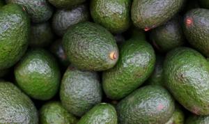 Producción mundial de palta superaría las 12 millones de toneladas hacia el 2030