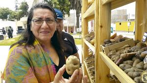 Producción mundial de papa supera las 374 millones de toneladas