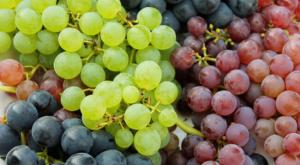 Producción mundial de uva de mesa alcanzaría los 27.3 millones de toneladas en campaña 2022/2023, registrando un aumento de 1.1 millones de toneladas