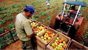 Producción nacional agropecuaria creció 5.7% en el primer trimestre del 2018