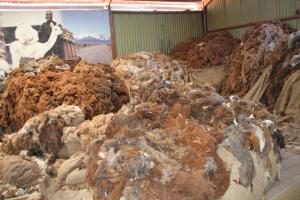 PRODUCCIÓN NACIONAL DE FIBRA DE ALPACA ALCANZA LAS 6 MIL TONELADAS