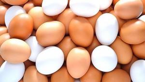 Producción nacional de huevos creció 10.2% en el primer semestre del año