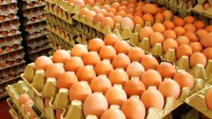 Producción nacional de huevos creció casi 15% en 2019
