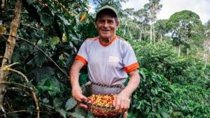 Produce destina más de S/ 28 millones  para impulsar 227 iniciativas innovadoras y sostenibles en el sector cafetalero peruano