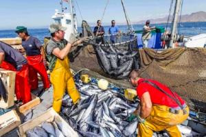 Produce obtuvo medidas en favor del sector pesquero nacional en reunión de la OROP-PS