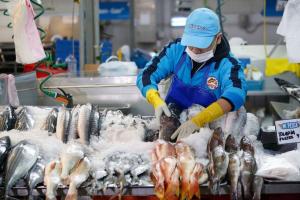 Produce: Población no debe tener miedo de consumir pescados y mariscos