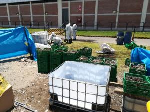 Producen biogás y biofertilizantes a partir de residuos sólidos de fibra de alpaca y lana de oveja