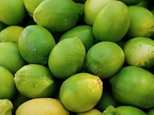 Productores advierten sobre riesgo de ‘dragón amarillo’ en limones importados