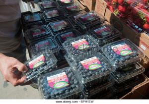 Productores de arándanos se quejan de que precios del fruto en supermercados europeos es alto pero importadores les pagan poco