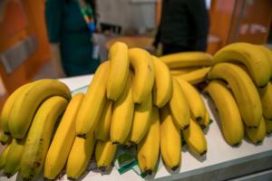 Productores de banano buscan introducir puré orgánico en mercado europeo