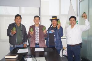 Productores de palta y mango reciben importante apoyo económico para desarrollar sus planes de negocios en Apurímac y Piura