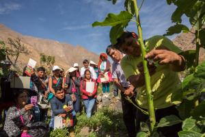 Productores se capacitan en los procesos de control interno para la producción agroecológica