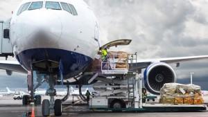 Productos agrícolas representan el 79.9% del volumen total exportado por vía aérea