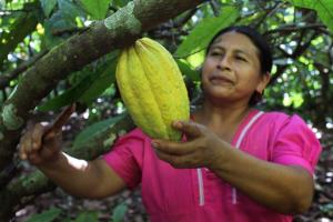 Programa #100MujeresChocolateras busca realzar el rol femenino en la cadena productiva del cacao y chocolate
