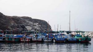 Programa de TASA contribuye con el financiamiento de iniciativas de pesca sostenible en comunidades pesqueras