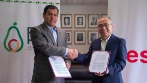 ProHass y ESAN firman convenio para potenciar visión empresarial de productores de palta Hass